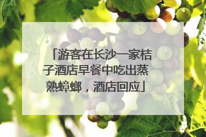 游客在长沙一家桔子酒店早餐中吃出蒸熟蟑螂，酒店回应